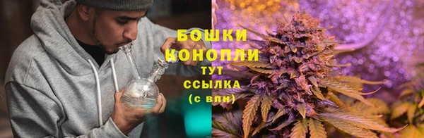 марки nbome Богданович