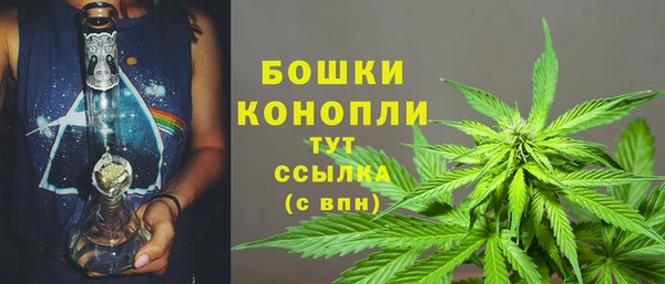 гашик Богородск