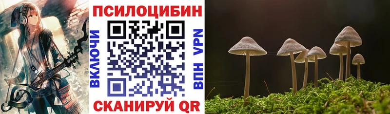 Галлюциногенные грибы Magic Shrooms  Городец 
